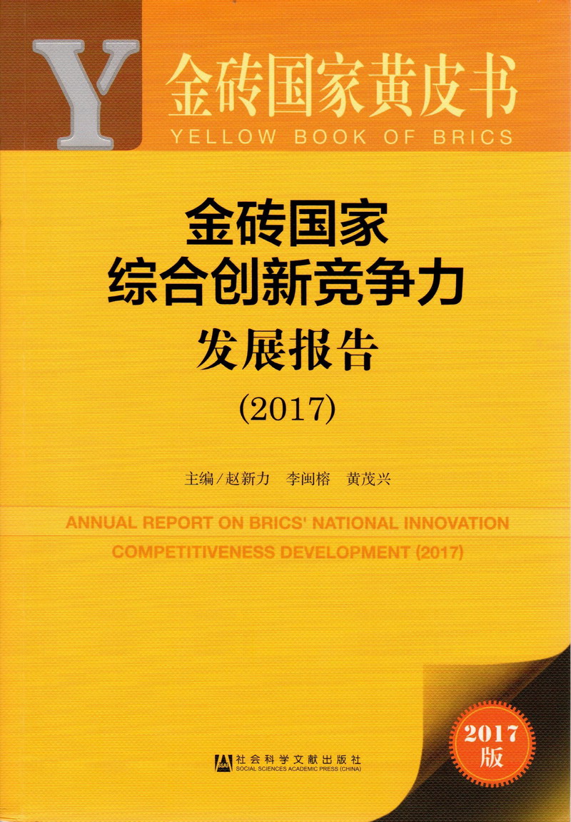 越南少女哦啊操屄在线视频金砖国家综合创新竞争力发展报告（2017）